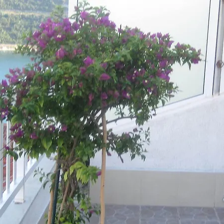 Kresic Tiha Luka Neum